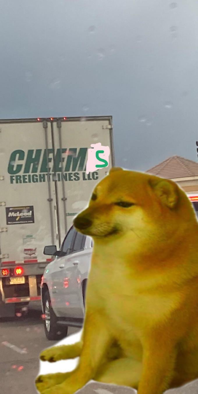 1644944409 919 Meet Balltze The Original Cheems Meme Doge Meme