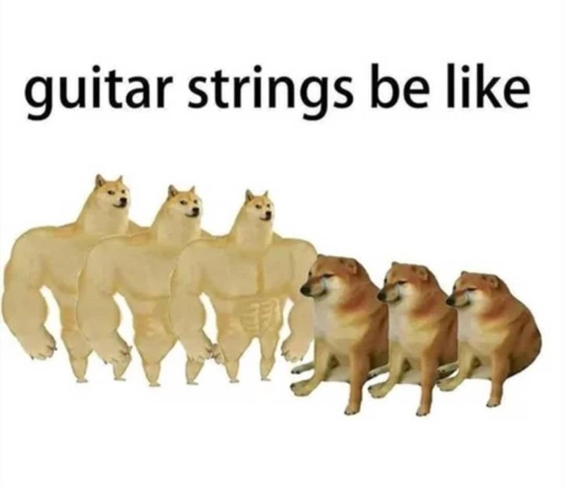 animal guitar strings be like Meme