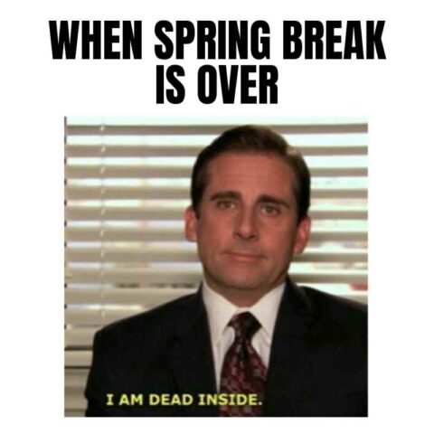 returning from spring break meme 480x480 1 Meme